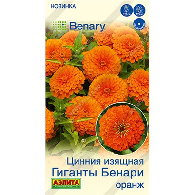 Цинния Гиганты Бенари Оранж (Код: 93617)