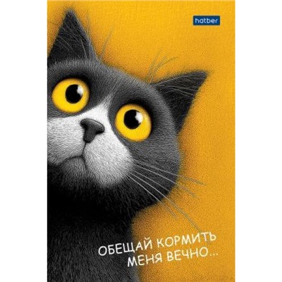 Блокнот А6  40л клетка на склейке "Пушистый философ" (093611) Хатбер