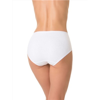 D_HW101_02 (Трусы женские макси, Dentelle )