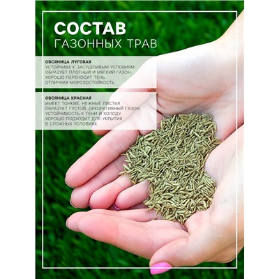 Газонная травосмесь «Северная», 20 кг