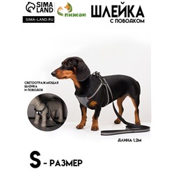 Комплект амуниции светоотражающий, размер S, ОГ 35-60 см, стропа 1.5 см, серый