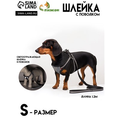 Комплект амуниции светоотражающий, размер S, ОГ 35-60 см, стропа 1.5 см, серый