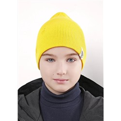 CLEVER Шапка 554344ха