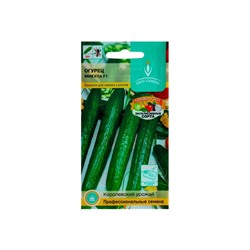 Семена Огурец Микула F1 раннеспелый, партенокарпический, гладкий, салатный 0,25 г.