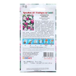 Семена цветов катарантус барвинок «Сиртаки», 0.1 г