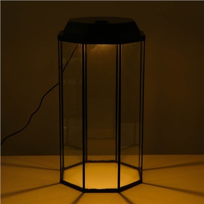 Аквариум «Восьмигранный» с крышкой, 50 л, 33×33×60/67 см, венге