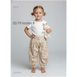 брюки 2053606-1