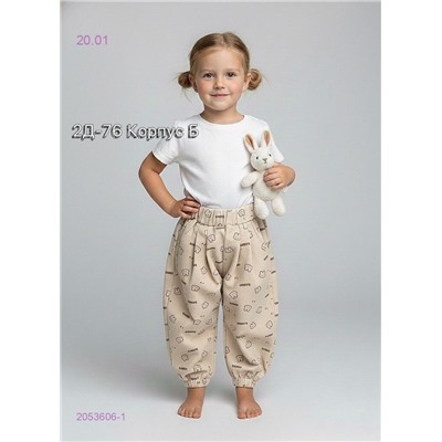 брюки 2053606-1