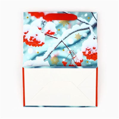 Пакет подарочный новогодний ламинированный «С Новым годом», MS 23×18×10 см