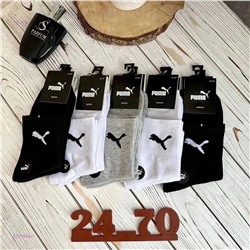 Носки мужские 10 пар 1721864-1