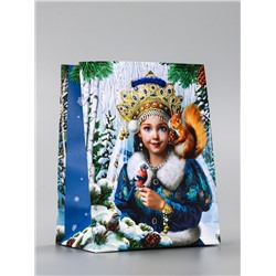 Пакет подарочный новогодний ламинированный, «Новогодняя пора», 11.5×6.5×14.5 см