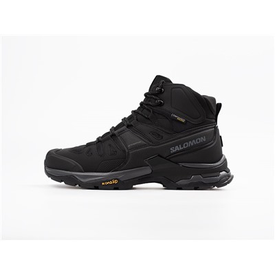 Зимние Ботинки Salomon Quest 4 GTX