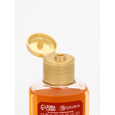 Подарочный набор новогодний: гель для душа 2 шт. × 100 мл, мочалка для тела, аромат мандарин и тыква, URAL LAB