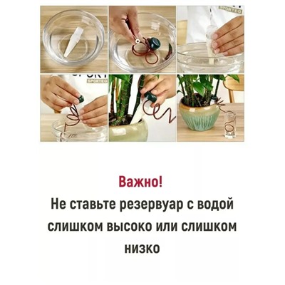 Автополив для комнатных растений и теплиц 2шт