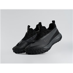 Кроссовки Nike ACG Mountain Fly Low