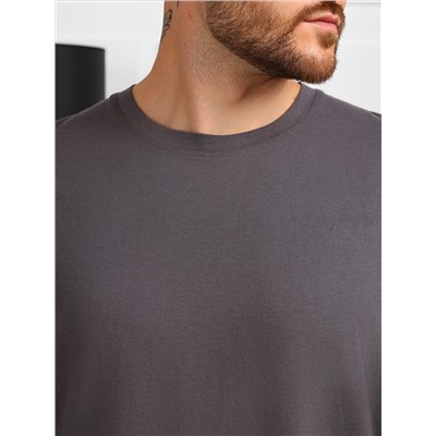 Фуфайка (футболка) мужская Генри-4