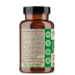 Глюкозамин+Хондроитин OVERvit, 60 капсул