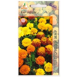 Бархатцы Петит   (Код: 78291)