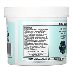 Bad Air Sponge, Bad Air Sponge,  30 oz (.85 kg)