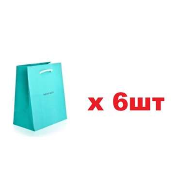 Tiffany&Co подарочный пакет 25*20*10см  6шт