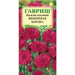 Василек Вишневая Корона Гавриш