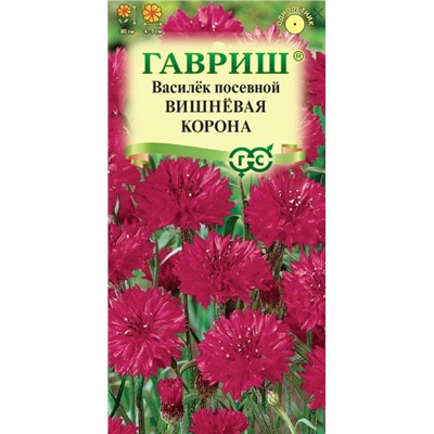 Василек Вишневая Корона Гавриш