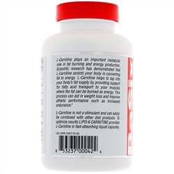 Nutrex Research, КАРНИТИН LIPO-6, 120 жидких капсул