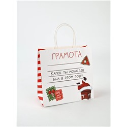 Пакет подарочный новогодний крафтовый «Молодец», 22×22×11 см