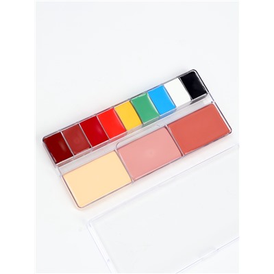 Профессиональный грим, палитра 12 цветов, №1, тональная