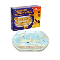УЦЕНКА Набор для опытов «Лабиринт для муравьёв»