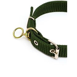 Ошейник двухслойный с вертлюгом, 2.5 см, зелёный