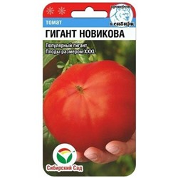 Томат Гигант Новикова Сиб.Сад