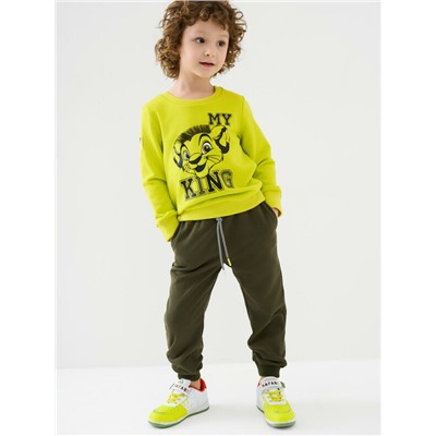 Толстовка трикотажная для мальчиков