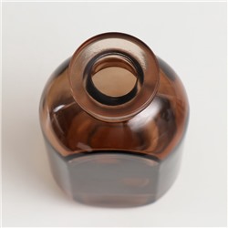 Диффузор для эфирных масел «Сумерки», 150 мл, прозрачный, 5×7×12 см, МИКС