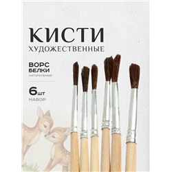 Набор кистей белка 60920