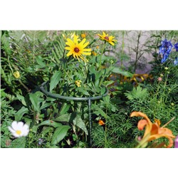 Опора для цветов «Соцветие» 30х50 см