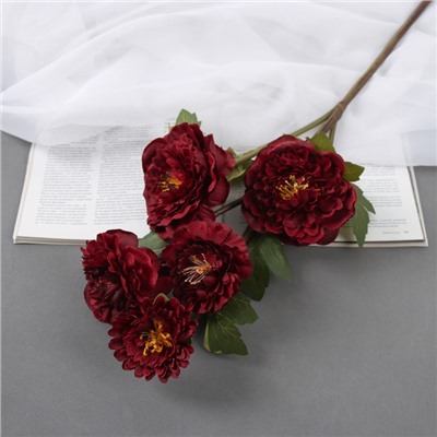 Цветы искусственные «Эустома Розанна», h=70 см, бордовые