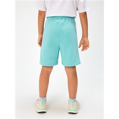 Acoola Шорты 20230420001