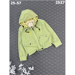 Ветровка 2537 зеленый