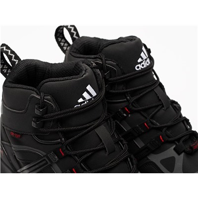 Зимние Ботинки Adidas Terrex Winter