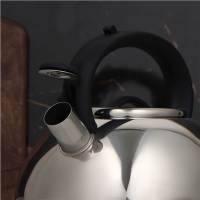 УЦЕНКА Чайник со свистком Доляна «Квант», 2.8 л, фиксированная ручка, цвет чёрный