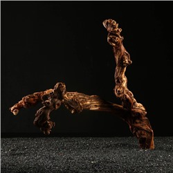 Коряга для аквариума «Лоза виноградная», 50 - 60 см