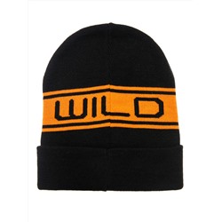 PLAYTODAY Шапка 32311310