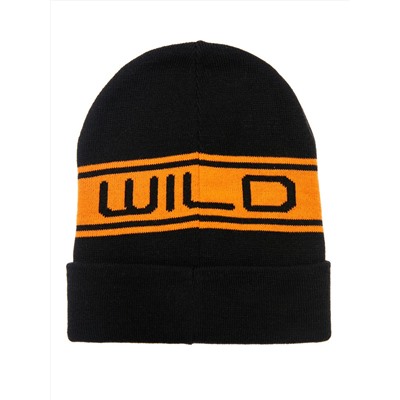 PLAYTODAY Шапка 32311310