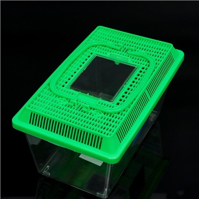 Переноска прямоугольная, 26.5×16.5×17 см, зелёный