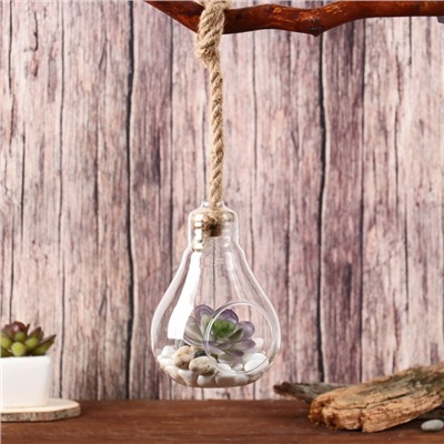 Флорариум «Лампа», с веревкой, d отверстия 5 см, 9×9×13 см, стекло, прозрачный