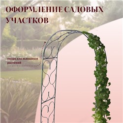 Арка садовая, 230×120×51 см, для вьющихся растений, металлическая, зелёная