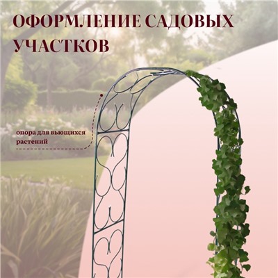 Арка садовая, 230×120×51 см, для вьющихся растений, металлическая, зелёная
