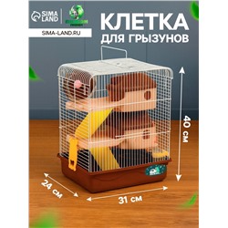 Клетка для грызунов «Пижон», 31×24×40 см двухэтажная. с наполнением, коричневая
