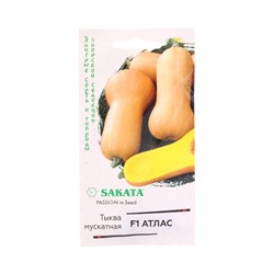 Семена Тыква Атлас F1, мускатная 5 шт.(Саката)